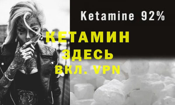 шишки Горно-Алтайск