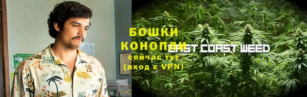 шишки Горно-Алтайск