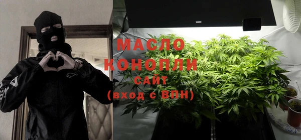 шишки Горно-Алтайск