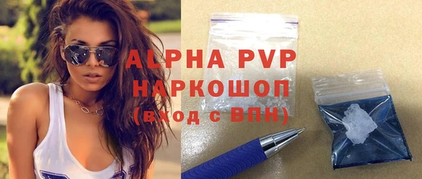 крисы Горняк